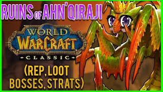 Ruins of AhnQiraj AQ20 Classic WoW Guide 🐞 DUNGEON DIVES [upl. by Einuj]