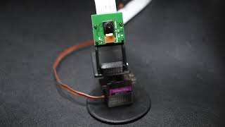 Raspberry Pi Camera Panning with a Servo Motor [upl. by Laden]