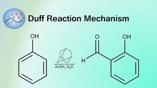 Duff Reaction Mechanism  Organic Chemistry [upl. by Nirej]