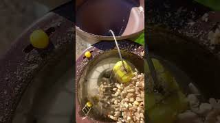 Refilling the bird feeder with no mess bird seed squirrelproof birdwatching asmr [upl. by Corina]