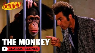 Kramer Has A Fight With A Monkey  The Face Painter  Seinfeld [upl. by Donough360]