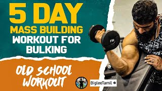 5 Day Mass Building Workout For Bulking  Old School Workout  Biglee Tamil [upl. by Illom]