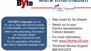 Dechra  Vetoryl Capsules SoundByte [upl. by Marabel]