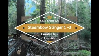 Steambow Stinger 2 pistol crossbow Essential Tips and Tricks [upl. by Helse912]