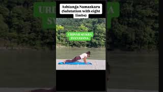 Ashtanga Namaskara EightLimbed Poseshorts youtubeshorts yoga shortfeed [upl. by Charpentier]