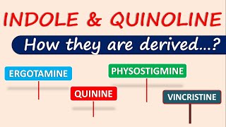 Indole and Quinoline alkaloids  How they are derived [upl. by Jestude]