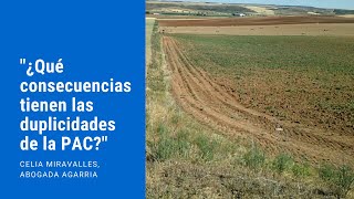 quot¿Qué consecuencias tienen las duplicidades de la PACquot pac agricultura [upl. by Nalda]