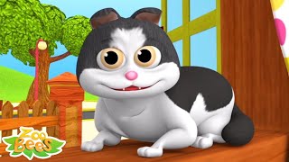 Meow Meow Billi Karti म्याऊं म्याऊं बिल्ली करती Nursery Videos and Kids Rhymes [upl. by Karry]