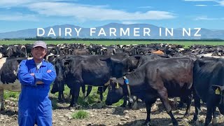 Dairy Farming in NZ 🇳🇿 Life of a dairy farmer  John Paul Cunanan [upl. by Yssak]