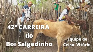 42° CARREIRA do Boi Salgadinho Equipe de Celso Vitório Adjaelson Gil e Pedro cachimbeiro🤠 [upl. by Wharton172]