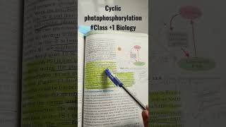 Cyclic photophosphorylationClass 1 Biology [upl. by Anauqcaj378]