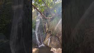 Escondido canyon waterfall In Malibu California [upl. by Gnap]