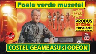 Costel Geambasu si Odeon quot Foaie verde musetel quot Vol 11 [upl. by Rashida]