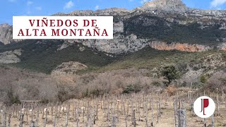 Viñedos de alta montaña [upl. by Otilia]