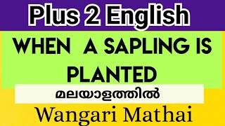 When a Sapling is planted  ഒരു തൈ നടുമ്പോൾ  Plus 2 English  Wangari Mathai [upl. by Reimer]