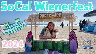 SoCal Wienerfest 2024 Wiener Dog Races Dachshund Festival Full Event [upl. by Gilus]