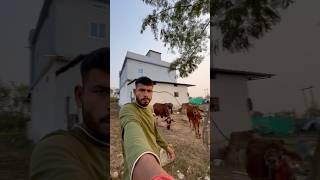 I want to do these things about aboveboard punjabisong punjabi newsong punjabimusic [upl. by Kieryt]