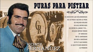 PURAS PARA PISTEAR SELECCIÓNADAS VICENTE FERNÁNDEZ MIX PERRONAS VICENTE FERNÁNDEZ EBRIO [upl. by Sacksen]