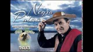 NEGRO PALMA LA JUGUETONA [upl. by Xonnel260]