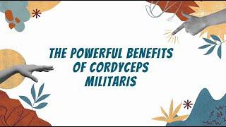 4 powerful benefits of cordyceps militaris [upl. by Nedlog]