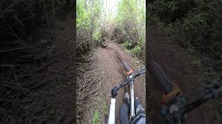 Riding down a Volcano in Mexico [upl. by Etolas]