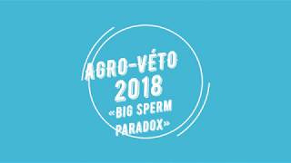 Agro véto 2018 Analyse de documents «Big sperm paradox» [upl. by Elkin]