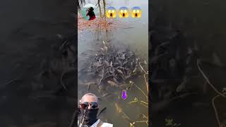 Amazing fishing 🎣😱 fishing [upl. by Adah258]