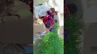 ditu da dera funny comedy beautiful vlog [upl. by Eichman]