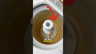 I Saved This Washing Machine cleaning satisfying cleaningtips [upl. by Darrelle]