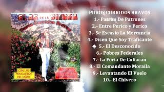 El As de la Sierra  Puros Corridos Bravos Álbum Completo [upl. by Findley352]