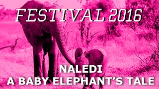 Naledi A Baby Elephants Tale Trailer [upl. by Dagley436]