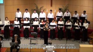 Handel  Laudate pueri Dominum HWV237  I Laudate pueri [upl. by Dyanne]