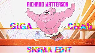 RICHARD WATTERSON  GIGA CHAD SIGMA EDIT🗿 [upl. by Atteuqaj]