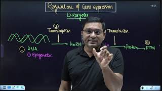 Gene Regulation Epigenetics  Alevel Biology  OCR AQA Edexcel [upl. by Yetsirhc]