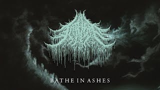 FATHOM  BATHE IN ASHES NEW SINGLEOFFICIAL LYRIC VIDEO  2023 [upl. by Hemminger]