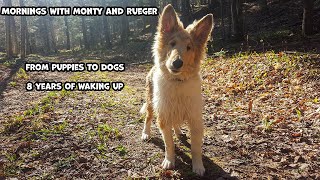 Mornings With Monty And Rueger  From Puppies To Dogs  8 Years Of Waking Up [upl. by Limaj]