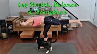 Stretch Balance and Strengthen Your Legs [upl. by Teagan]