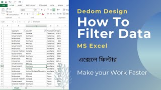 Filter in MS Excel  এক্সেলে ফিল্টার  Excel Tricks [upl. by Esinrahs]