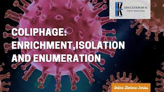 Coliphage Enrichment Isolation and Enumeration  UG  PG  Microbiology [upl. by Ardnayek]