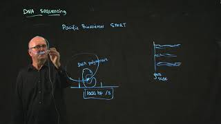 Pacific Biosciences Sequencing [upl. by Euqinommod]