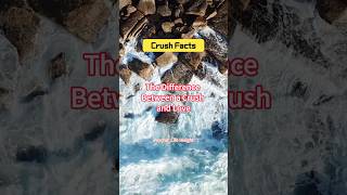 The Difference Between a Crush and Love [upl. by Ramiah]