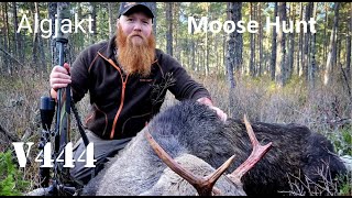 Moose Hunt In Sweden  Älgjakt with Per Kristensen V444 [upl. by Jepum]