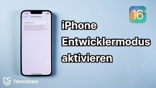 Wie kann man den iPhone Entwicklermodus aktivieren iOS 16 [upl. by Arakahs]