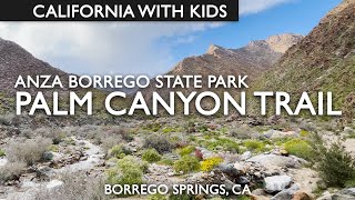 Palm Canyon Trail In Anza Borrego State Park [upl. by Skier]