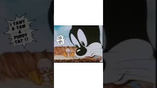 Tweety I tawt I taw a puddy cat sylvester tweety tweetybird cartoon [upl. by Navi]