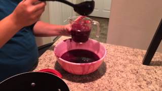 How to Make Chokecherry Jam [upl. by Chlo]