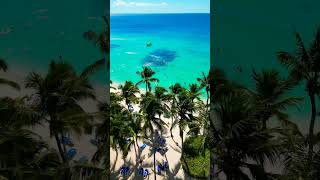 🇩🇴 Viva Wyndham Dominicus Beach Resort 🌴short shorts beach bayahibe shortsvideo shortvideo [upl. by Aicsile]