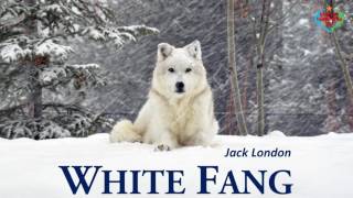 White Fang  Audiobook by Jack London [upl. by Navap]