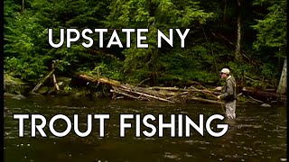 River Trout Fishing  Upstate New York [upl. by Devi440]