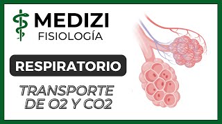 Clase 41 Fisiología Respiratoria  Transporte de O2 y CO2 en la sangre y tejidos IGdoctorpaiva [upl. by Doralyn]